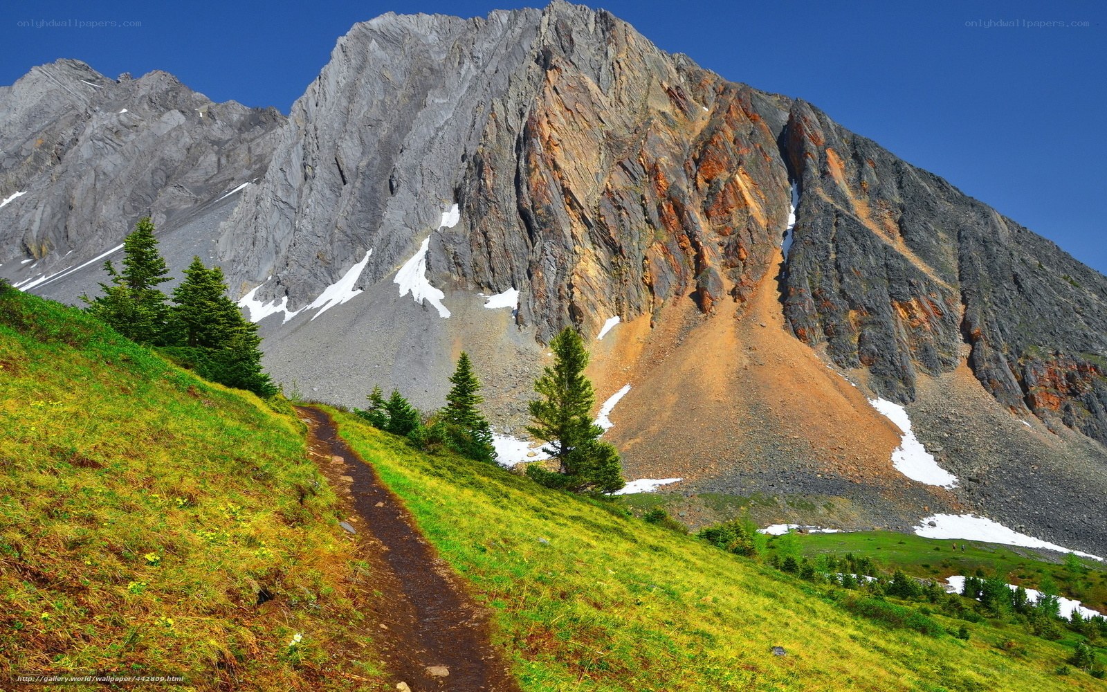 Mountain trail with rocky peak