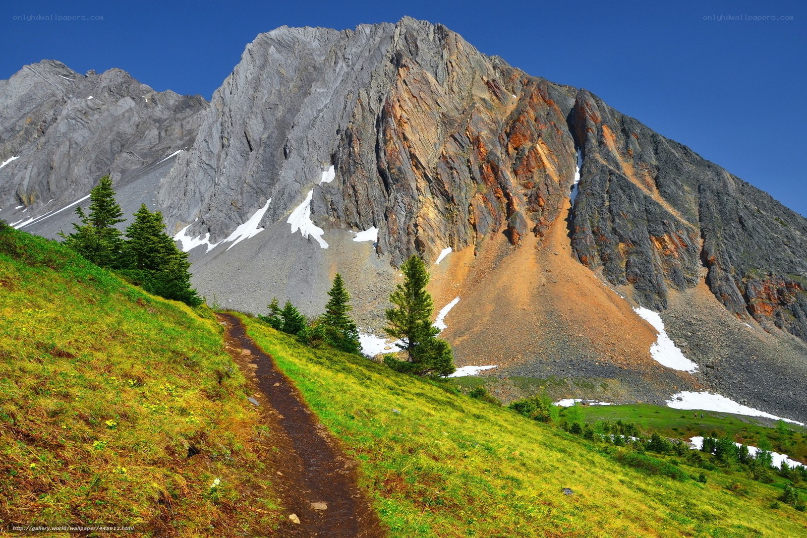 Mountain trail with rocky peak