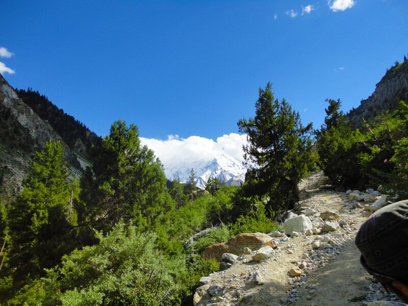 Mountain trail with snow-capped peak