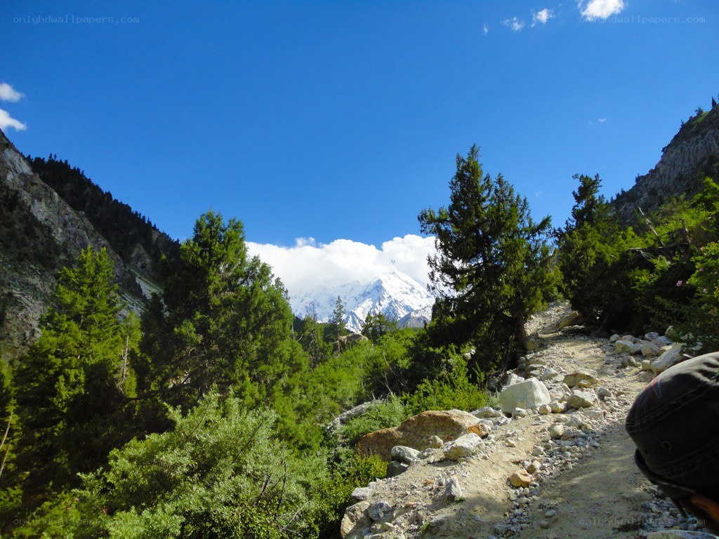 Mountain trail with snow-capped peak