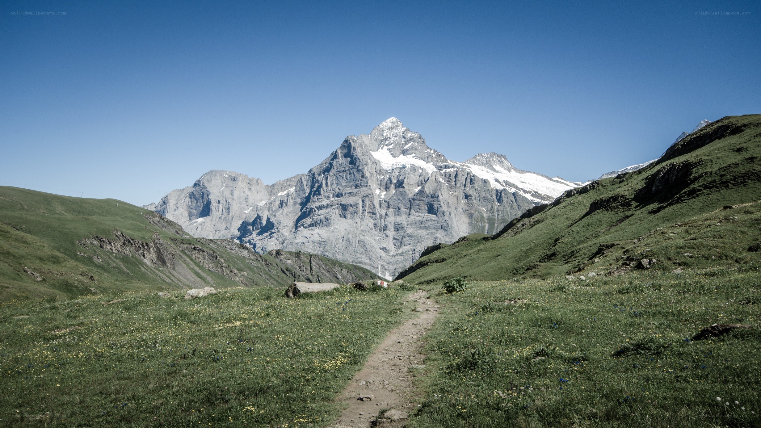 Mountain trail with snow-capped peak