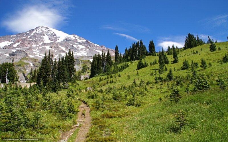 Mountain trail with snow-capped peak