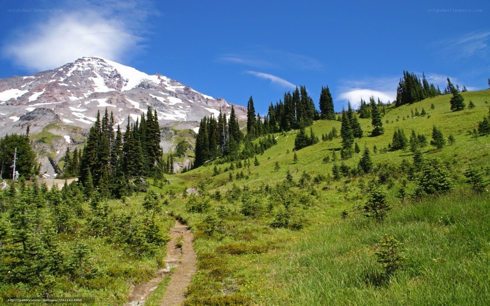 Mountain trail with snow-capped peak