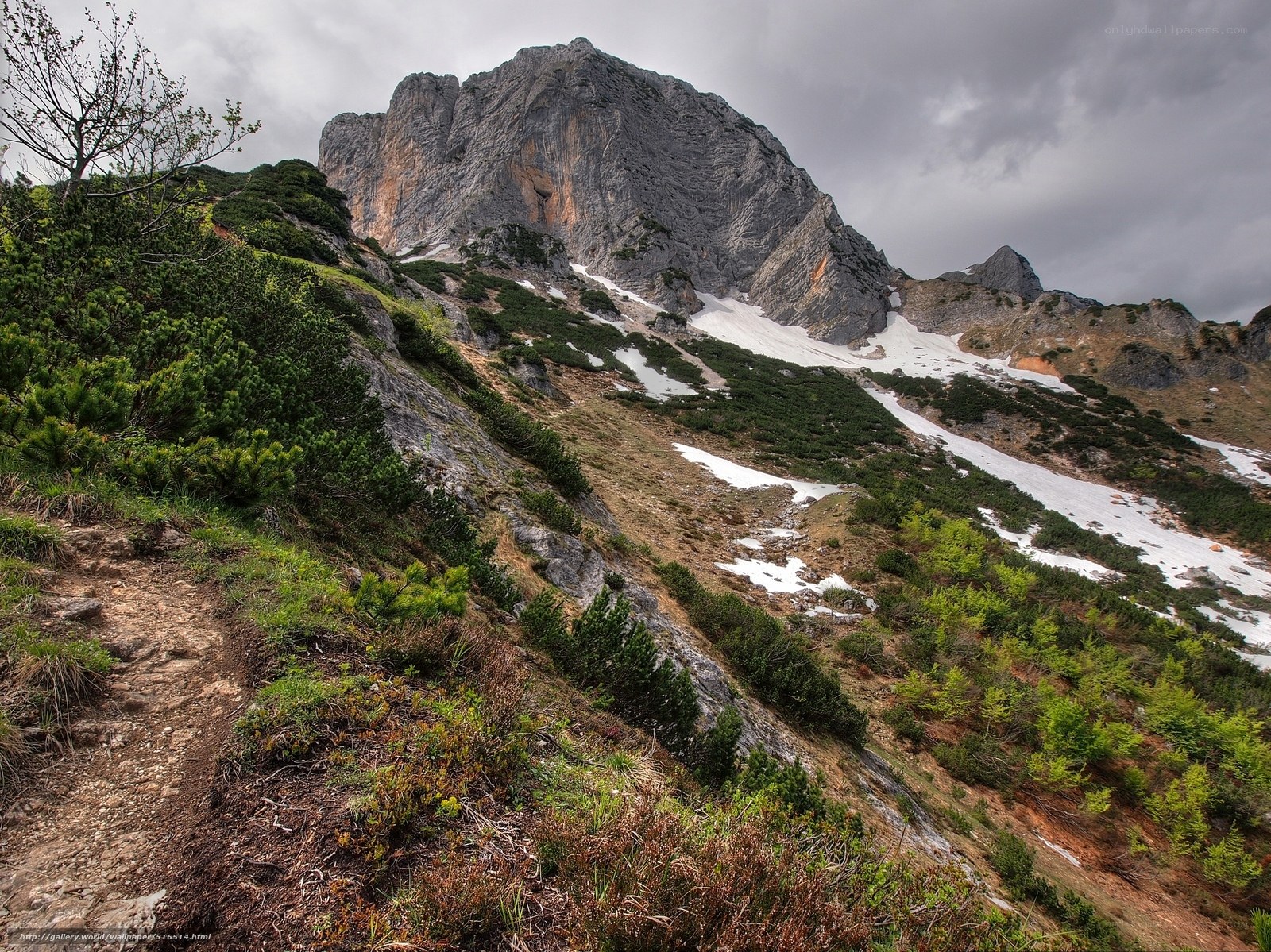 Mountain trail with snow patches