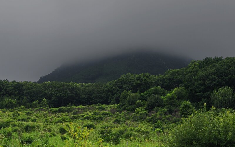 Mountain under Fog