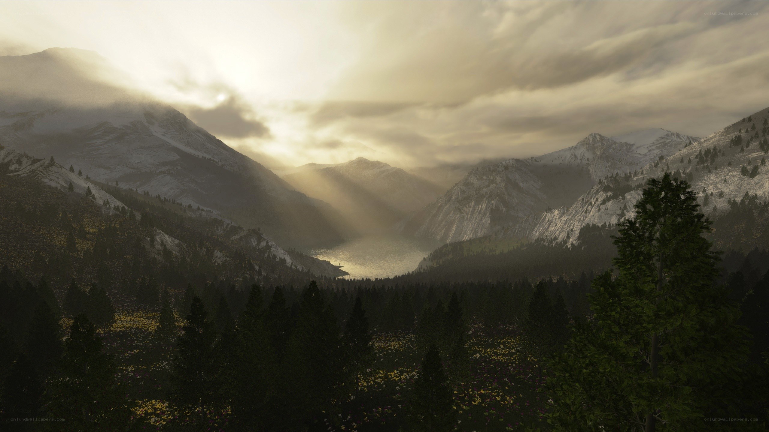 Mountain valley at sunrise