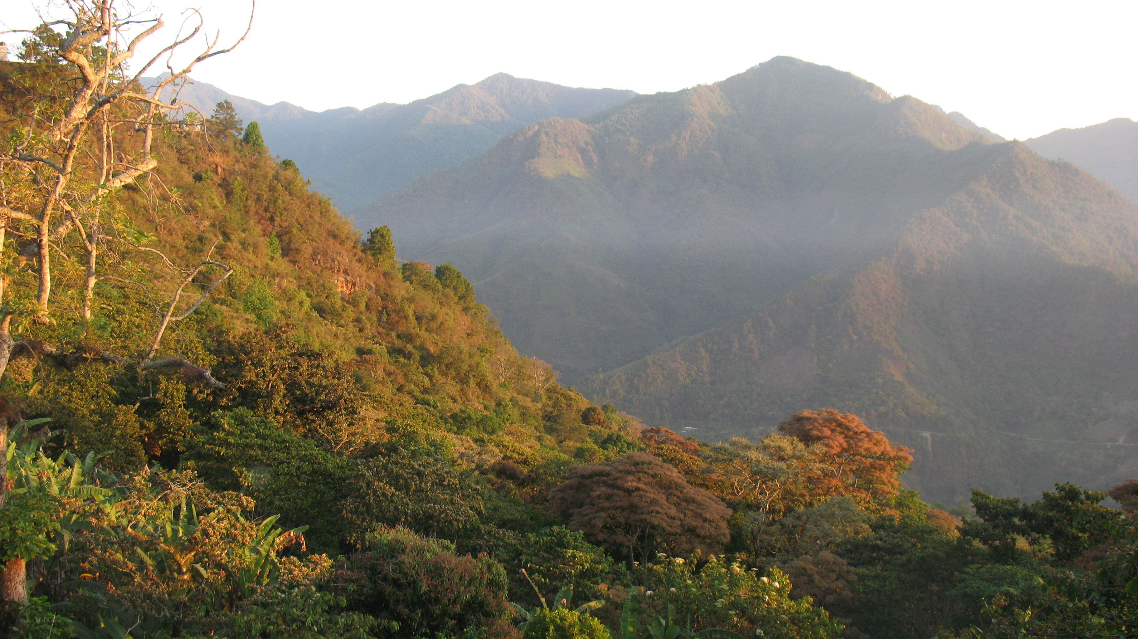 Mountain valley at sunrise