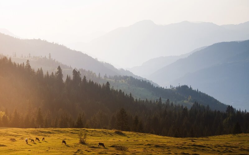 Mountain valley at sunrise