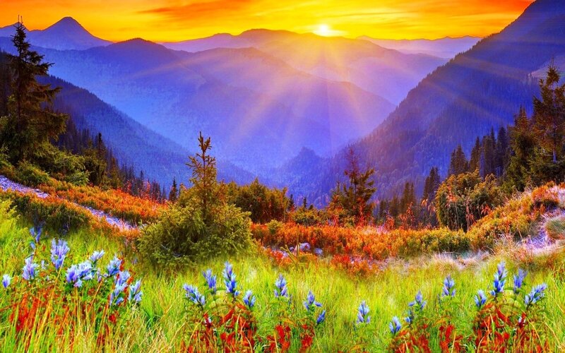 Mountain Valley at Sunrise — Green, Serene, Photograph, Flowers