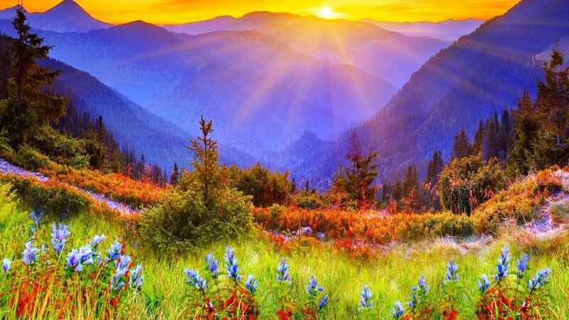 Mountain Valley at Sunrise — Green, Serene, Photograph, Flowers, Trees, Sunlight, Blue, Yellow