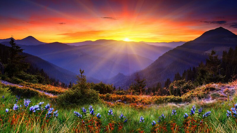 Mountain Valley at Sunrise — Orange, Serene, Photograph, Flowers