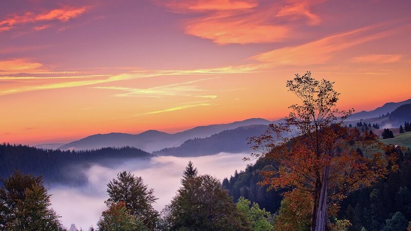 Mountain Valley at Sunrise — Orange, Serene, Photograph, Fog