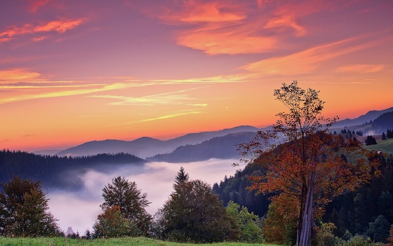 Mountain Valley at Sunrise — Orange, Serene, Photograph, Fog, Trees