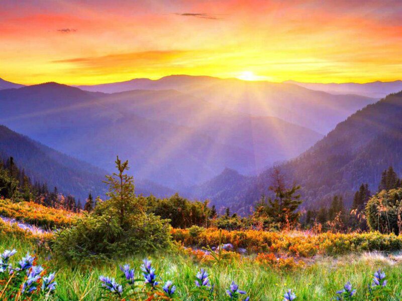 Mountain Valley at Sunrise — Yellow, Serene