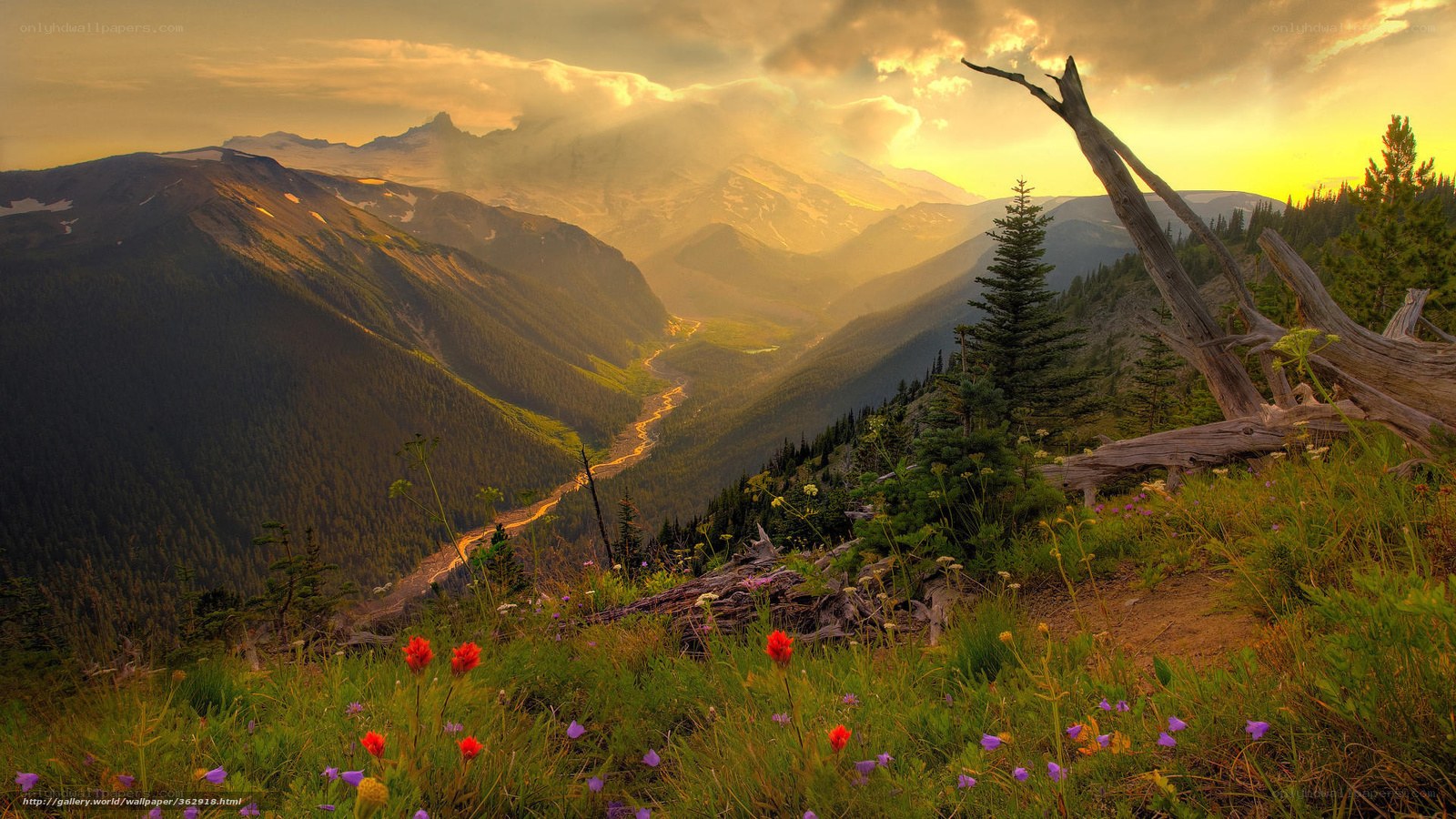 Mountain valley at sunset