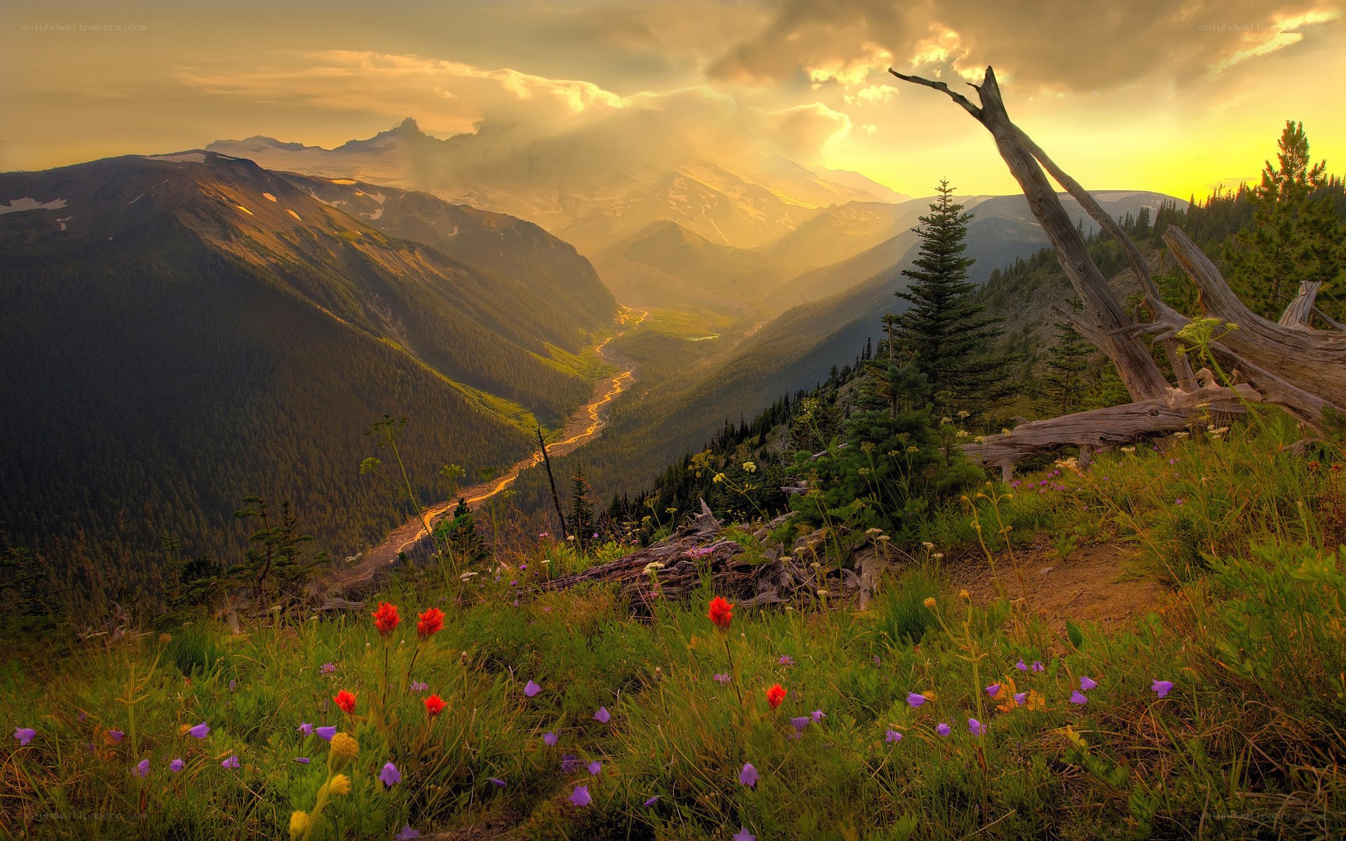 Mountain valley at sunset