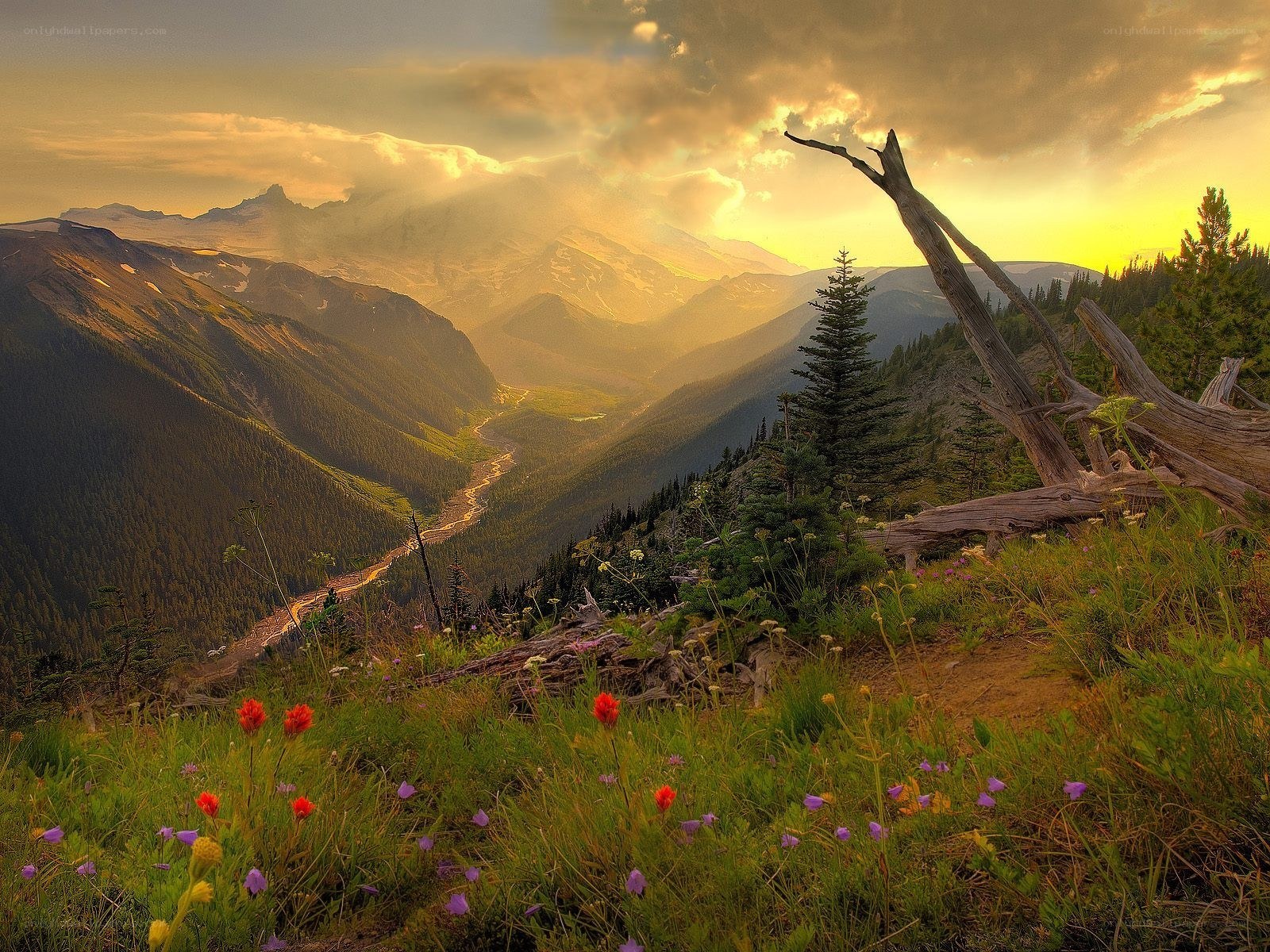 Mountain valley at sunset