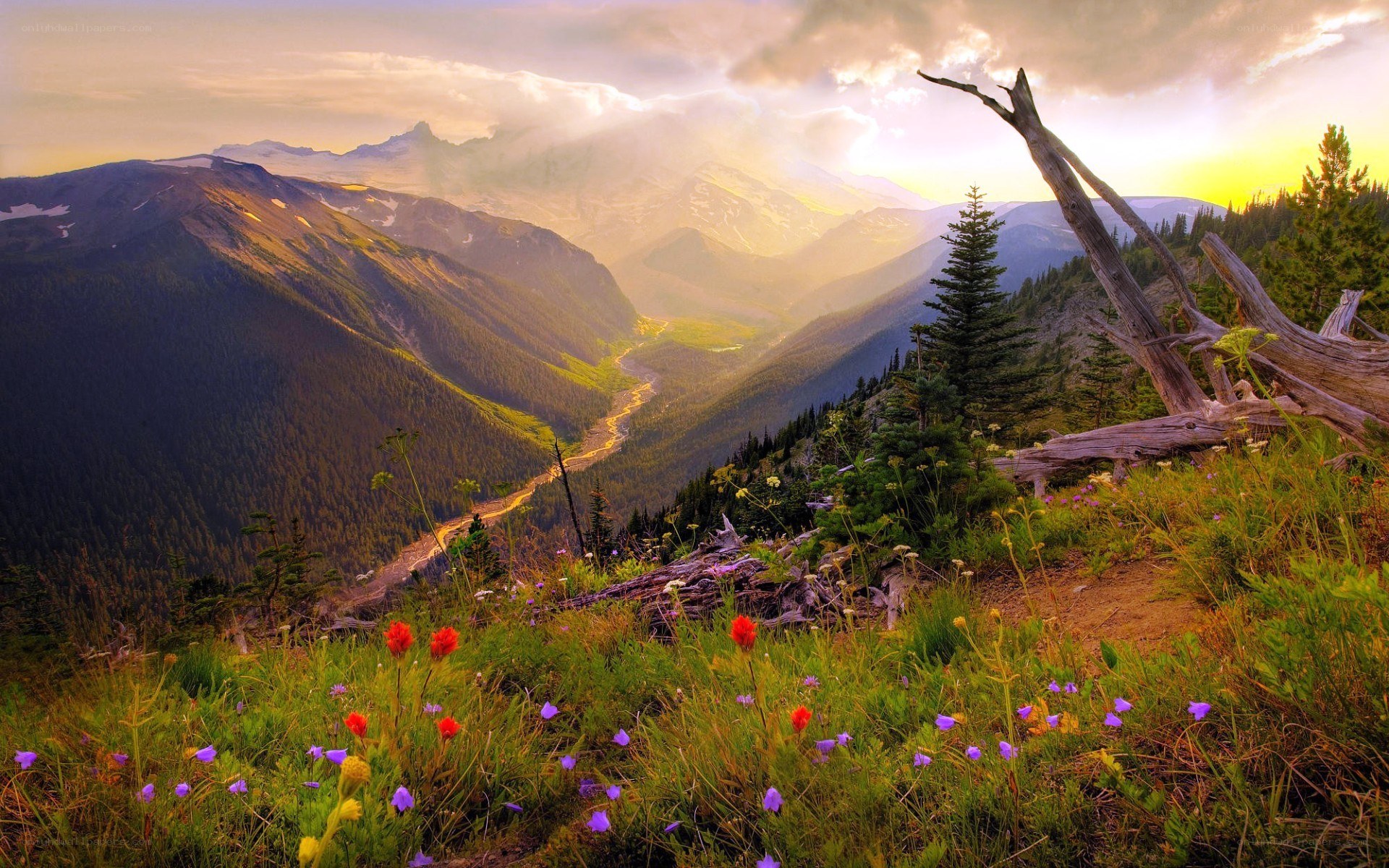 Mountain valley at sunset