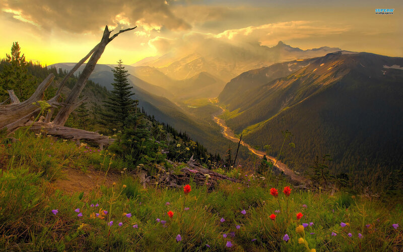 Mountain Valley at Sunset — Green, Dramatic, Photograph, Flowers, River