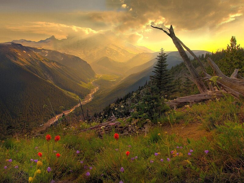 Mountain Valley at Sunset — Green, Dramatic, Photograph, Flowers, River, Trees