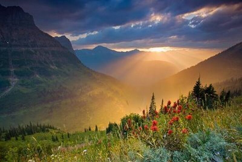 Mountain Valley at Sunset — Green, Dramatic, Photograph, Flowers
