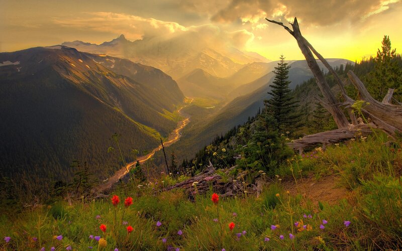 Mountain Valley at Sunset — Green, Dramatic, Photograph, Flowers, Trees, River