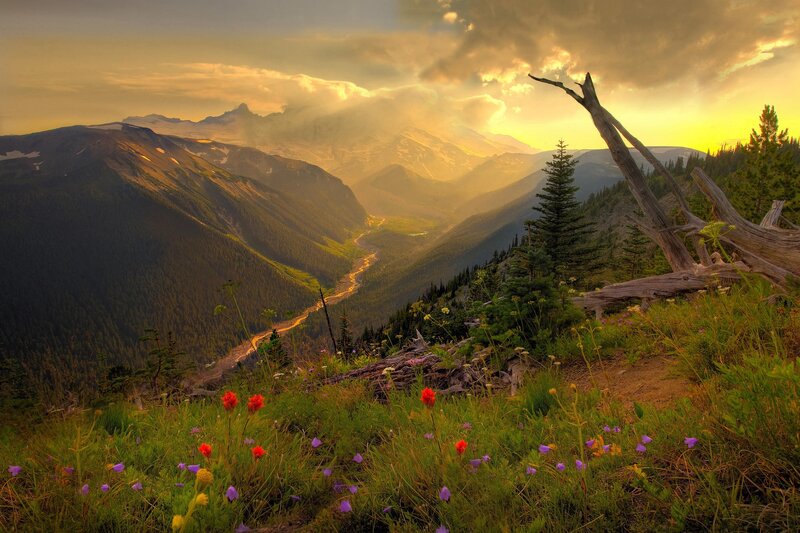 Mountain Valley at Sunset — Green, Dramatic, Photograph, Flowers, Trees