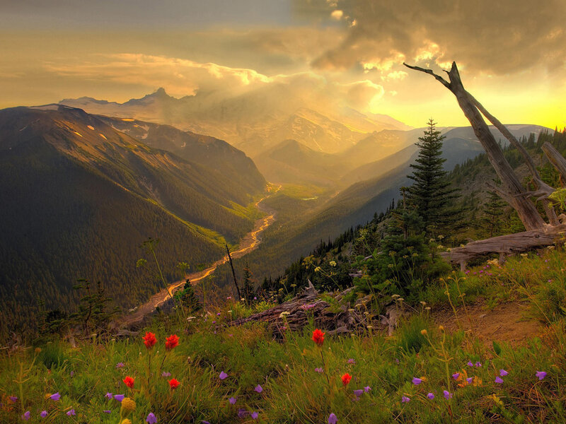 Mountain Valley at Sunset — Green, Dramatic