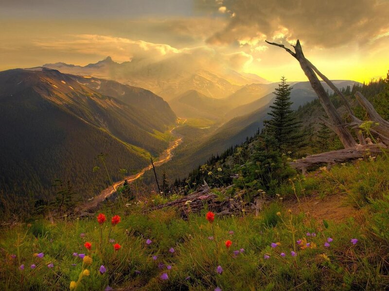 Mountain Valley at Sunset — Green, Flowers