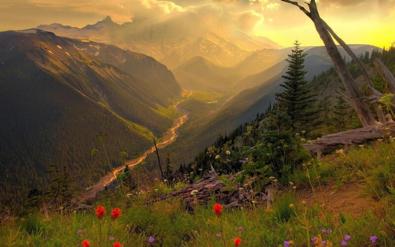 Mountain Valley at Sunset — Green, Serene, Photograph, Flowers, River