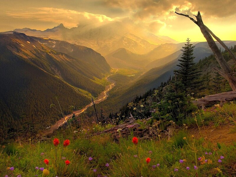 Mountain Valley at Sunset — Green, Serene, Photograph, Flowers, River, Trees, Mountains