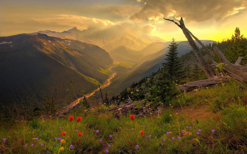 Mountain Valley at Sunset — Green, Serene, Photograph, Flowers, Trees, River