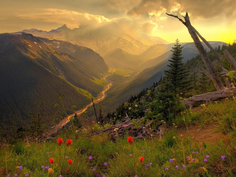 Mountain Valley at Sunset — Green, Serene, Photograph