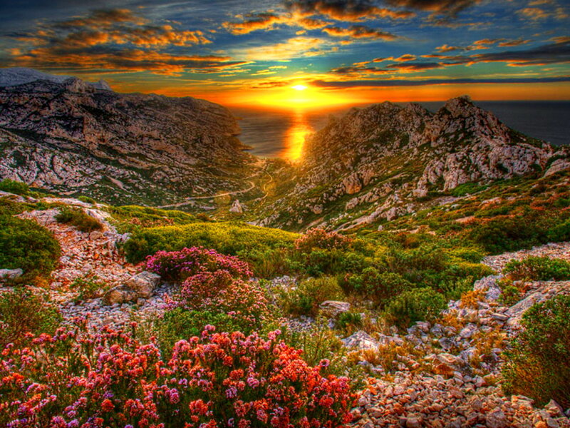 Mountain Valley at Sunset — Orange, Dramatic, Photograph, Flowers