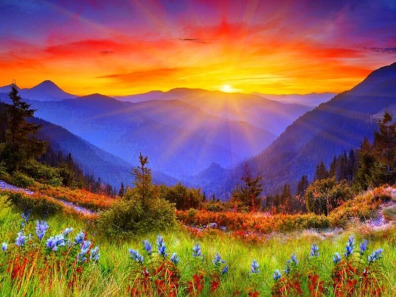 Mountain Valley at Sunset — Orange, Dramatic, Photograph, Flowers, Trees, Sun