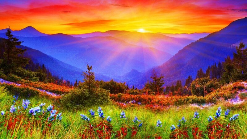 Mountain Valley at Sunset — Orange, Dramatic, Photograph, Flowers, Trees