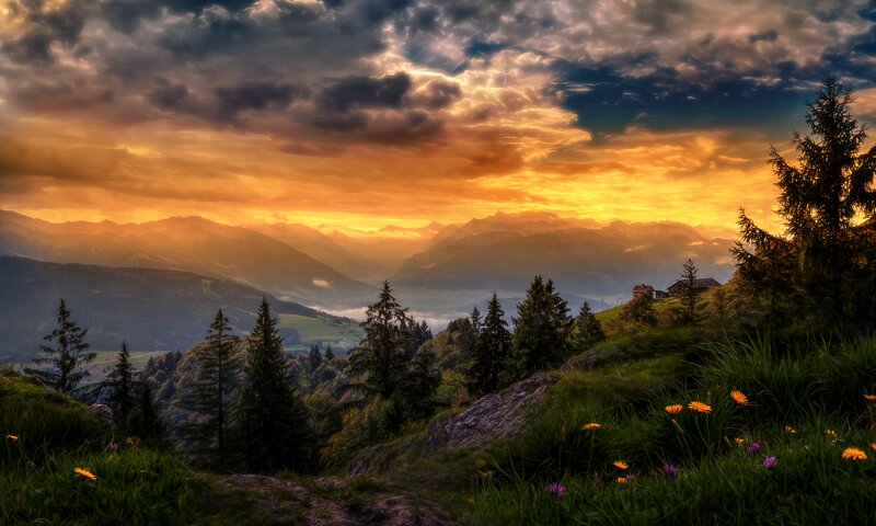 Mountain Valley at Sunset — Orange, Dramatic, Photograph, Trees, Flowers