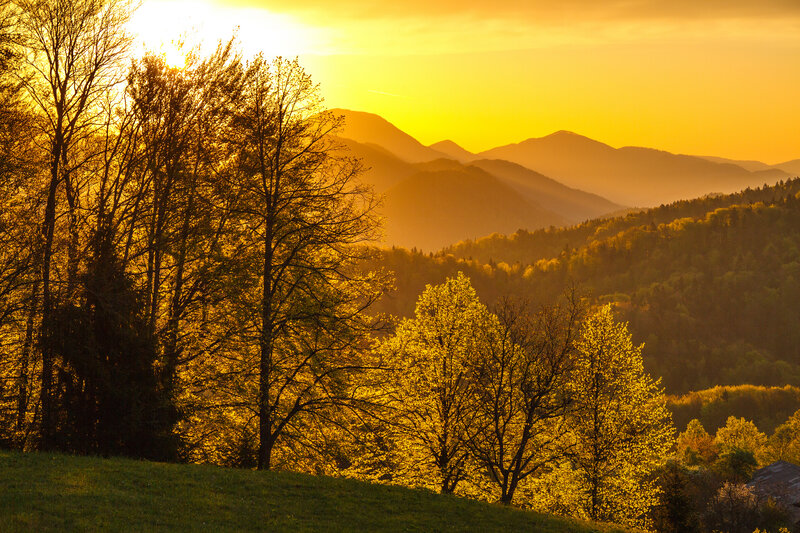 Mountain Valley at Sunset — Yellow, Serene, Photograph, Trees