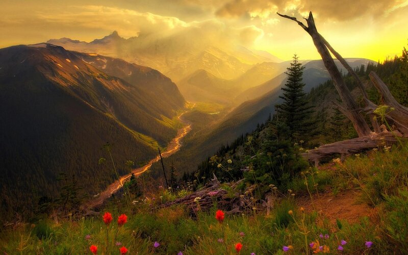 Mountain Valley at Sunset — Yellow, Serene