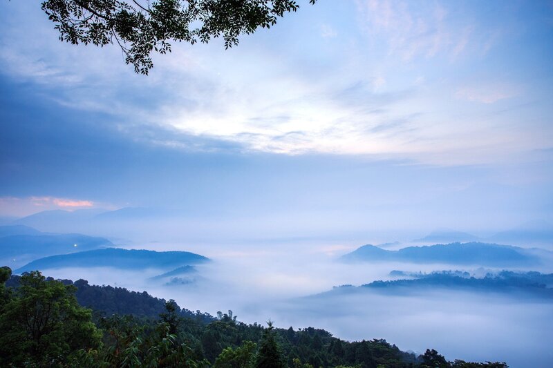 Mountain Valley Fog — Blue, Serene, Morning