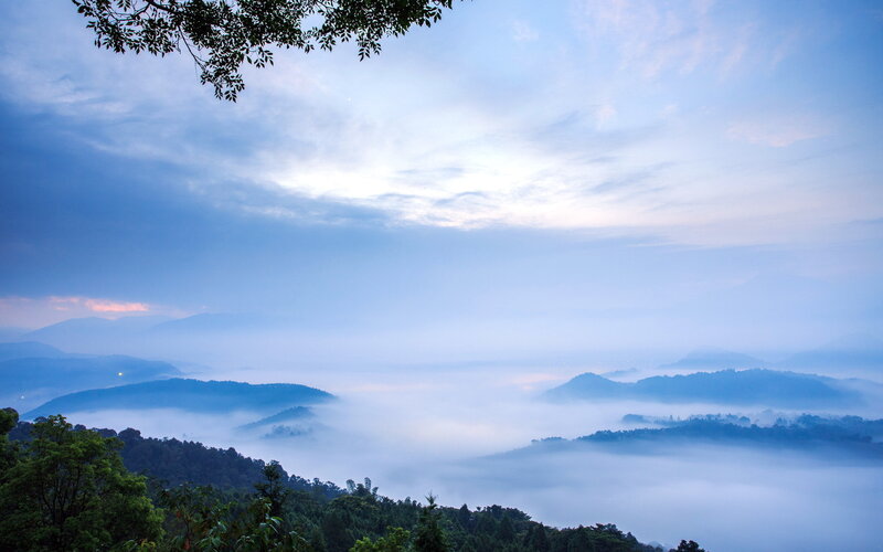 Mountain Valley Fog — Blue, Serene