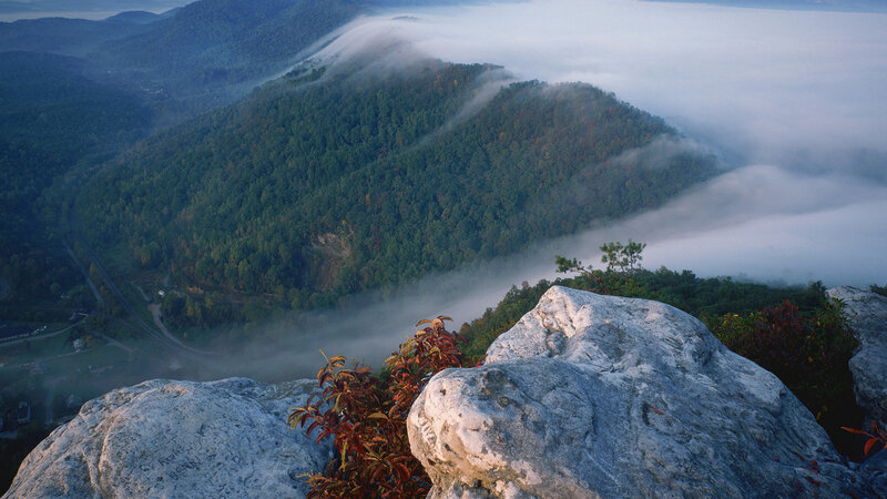Mountain Valley Fog