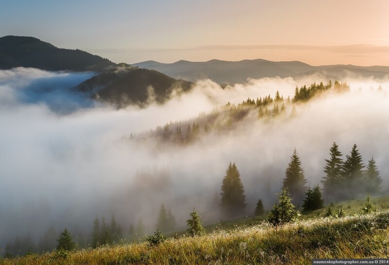 Mountain Valley Fog — White
