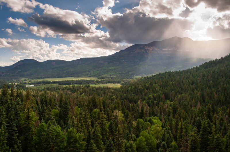 Mountain Valley Forest — Green, Dramatic