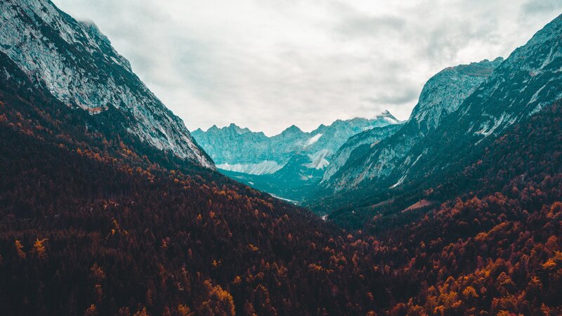 Mountain Valley Forest — Green, Serene
