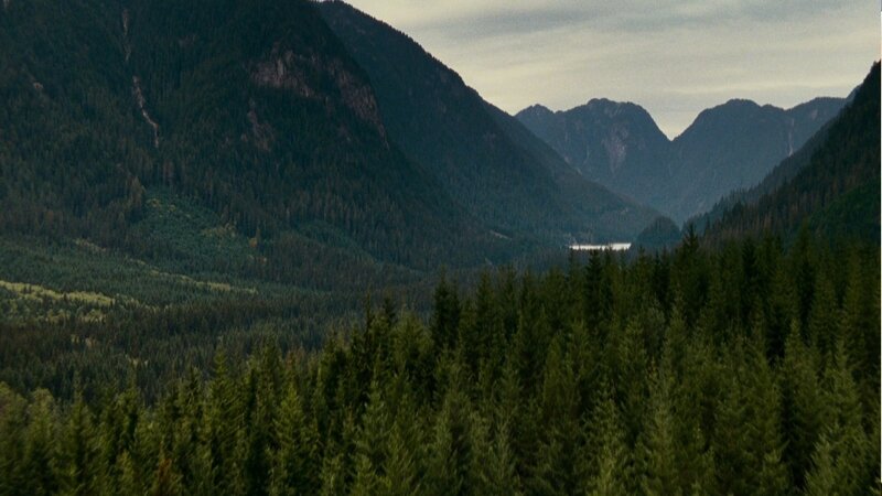 mountain valley forest landscape