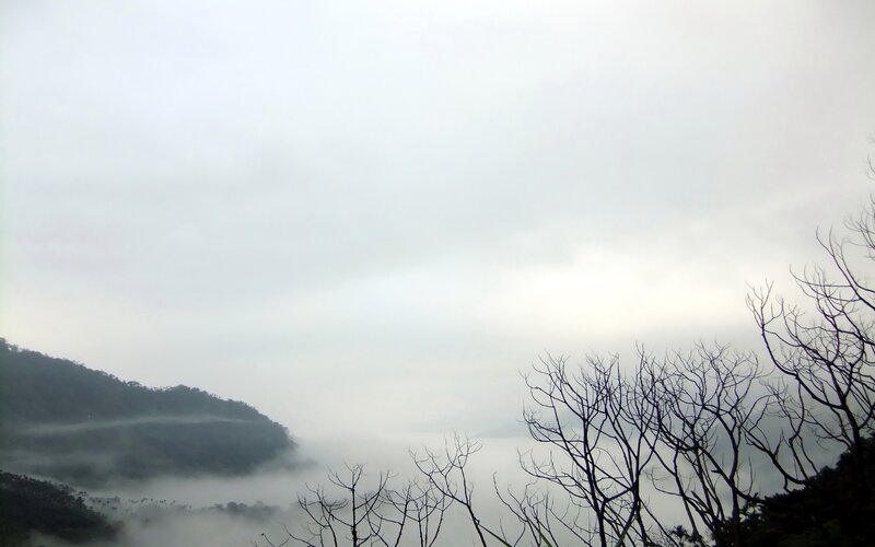 Mountain Valley in Fog