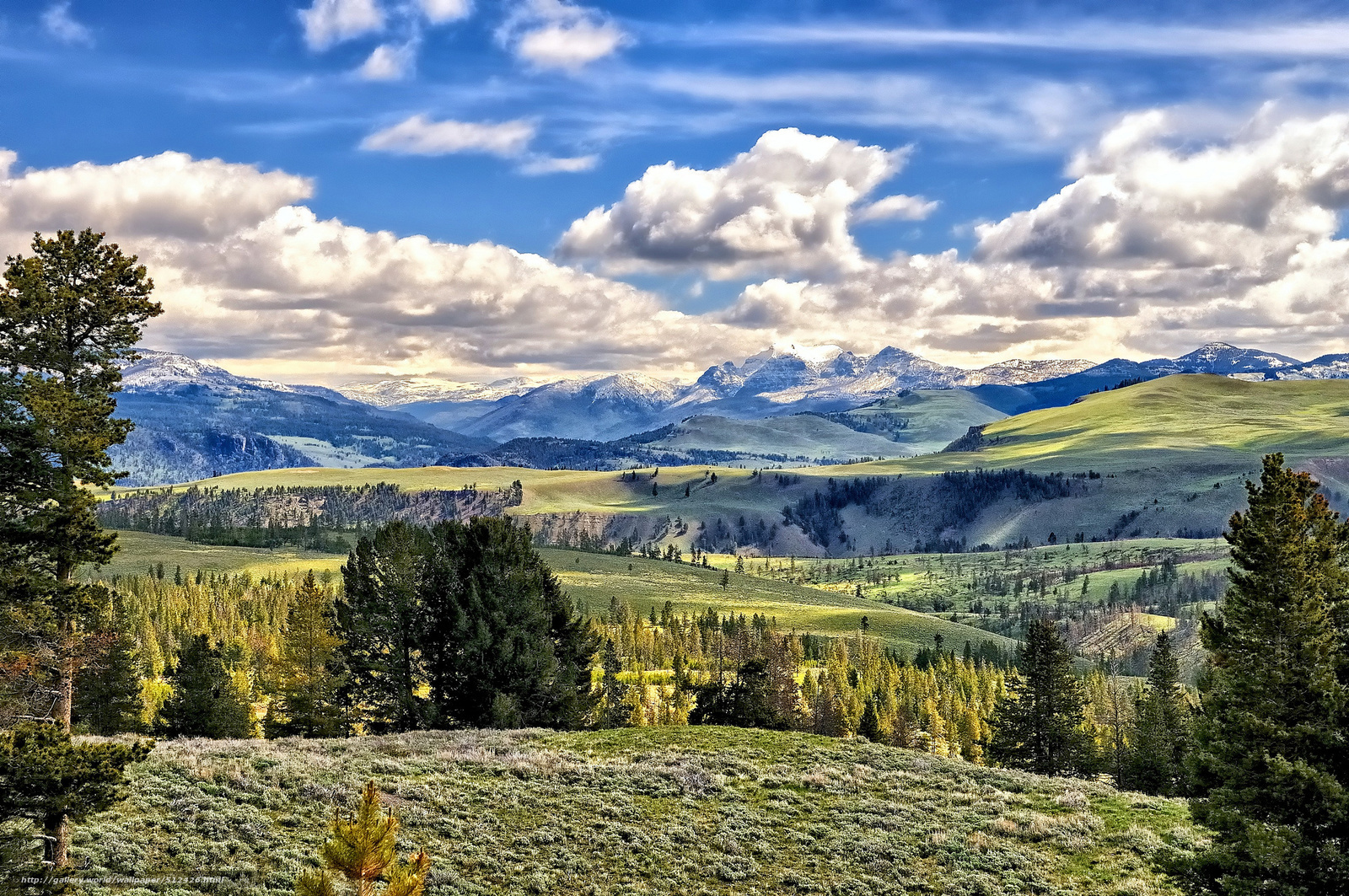 Mountain valley landscape