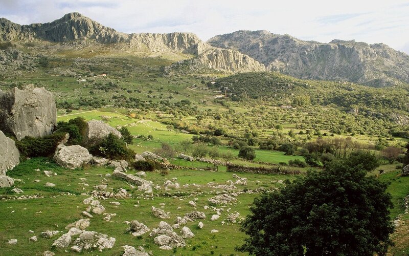 Mountain valley landscape