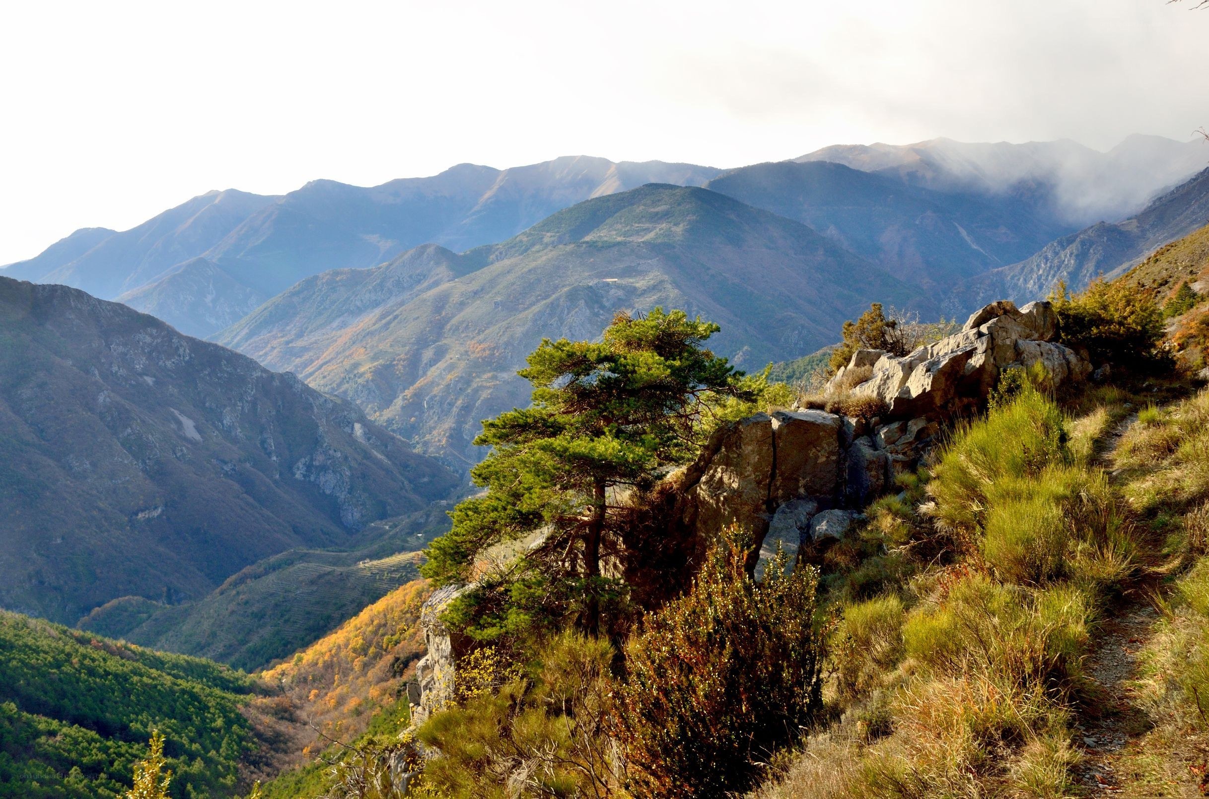 Mountain valley landscape